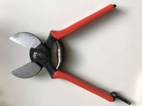 Lisam, Forbici da albero e da giardino, 3/B/Extra Leggere, 19 cm, professionali, doppia lama