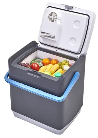 Hi-Gear Thermec 25 Litre Mini Fridge with Integrated Handle, 12V in Car Socket & 240V Mains Socket, Portable & Spacious 25L Electric Cool Box, Cooler, Camping, Travel, Picnics, Festivals, Grey