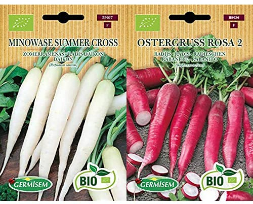 Germisem Bio Graines Radis daikon MINOWASE SUMMER CROSS+OSTERGRUSS ROSA 2