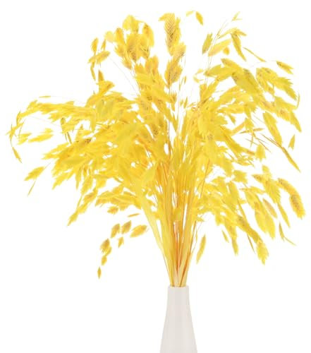 M METERXITY Lot de 20 Bottes d'herbe Séchée de 17 Bouquet de Fleurs Sèches Chasmanthium Herbe d'Avoine Séchée Arrangement de Fleurs Séchées Plante Réelle avec Tiges Verdoyantes [Jaune]