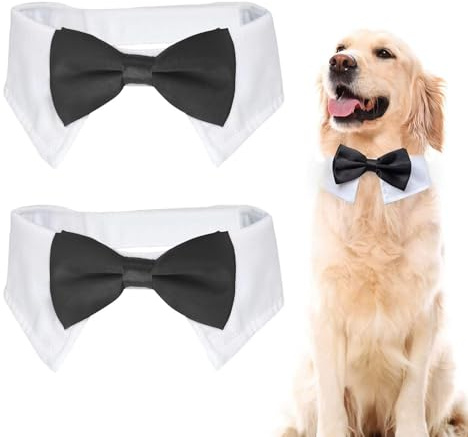 RELKLYU 2 pezzi di abiti per cani, accessori per animali domestici, mosca creativa e divertente, papillon regolabile, forniture di abbigliamento per animali domestici