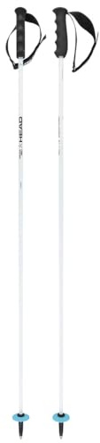 HEAD Worldcup Rebels Carbon - Bastoncini da Sci Unisex, Colore: Bianco/Nero/Blu velocità, 120