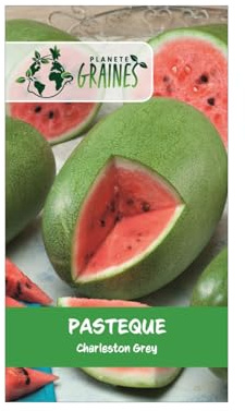 60 graines de pastèque charleston grey, variété ancienne à gros fruits résistante et très sucrée