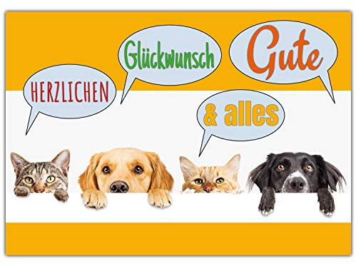 BREITENWERK A4 XXL Glückwunschkarte HUNDE & KATZEN mit Umschlag - edle Klappkarte geeignet für alle Anlässe wie Geburtstag Hochzeit Jubiläum Karte