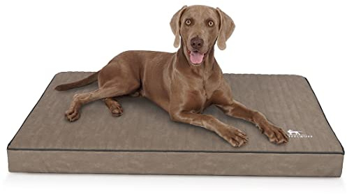Knuffelwuff orthopädische Hundematte Palomino aus Laser-gestepptem Kunstleder XXL 115 x 80cm Stone - rutschfeste Unterboden - leicht zu reinigen - für große, mittelgroße und kleine Hunde