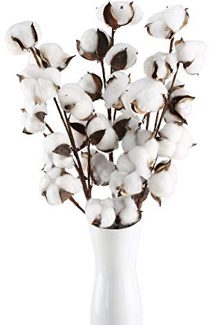 HUAESIN 3pcs Ramo Flores Secas Naturales Blancas 53cm Rama de Algodon Natural con 10 Cabeza de Flores Algodon Decoracion Planta Seca para Boda Fiesta Jarrones Mesa Hogar Navidad Decoracion Granja