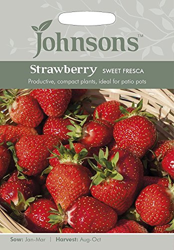 Johnsons 25344 Vegetable Seeds, Strawberry Sweet Fresca
