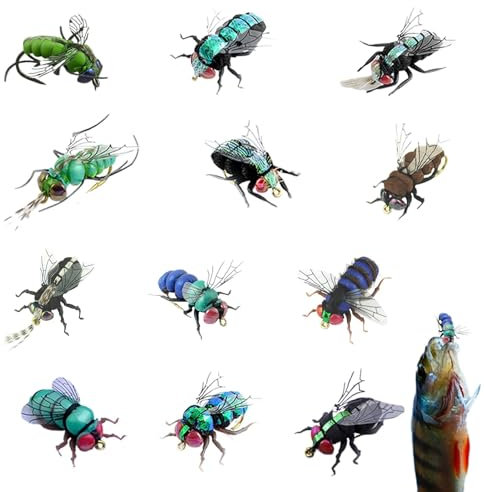 Angelfliegen-Set, Fliegenfischer-Sortiment | Barschköder 12er-Set | Handgebundener Forellenköder, handgefertigte Fliegenfischerausrüstung mit Haken, inklusive Boxen zum im Freien