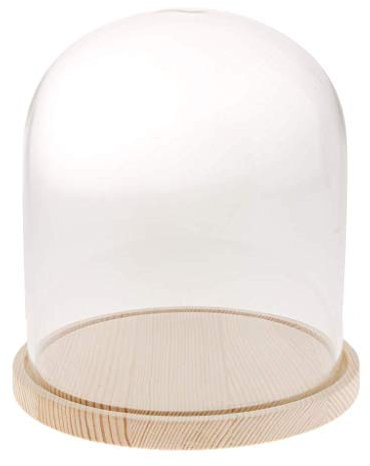 Tubayia, campana in vetro trasparente, con base in legno, decorazione per matrimoni e natalizia