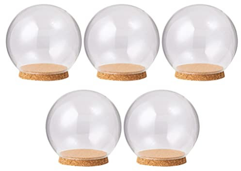 UPKOCH 5pcs Glass Dome Preserved Flower Cover Mum Memorial Gifts Flower Craft Desktop Decor Micro-landscape Vase