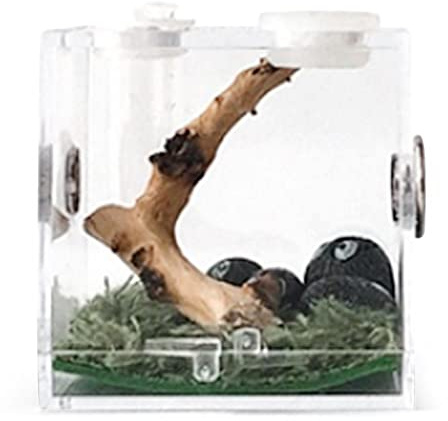 Jumping Spider Box – Reptilien-Grillenkäfig, Reptilien-Habitat-Terrarium, | Spinnen-Habitatbox aus Acryl mit Futterloch-Design, Spinnenzucht-Terrariumbox für Vogelspinne, Tausendfüßler, gehörnter Fros