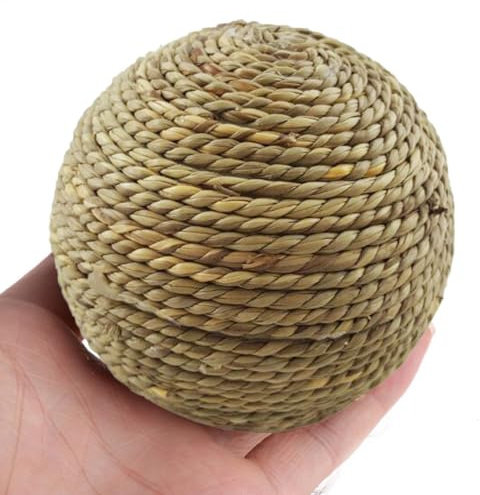 Giochi Masticabili Per Conigli Denti Del Coniglio Cura Denti Giochi