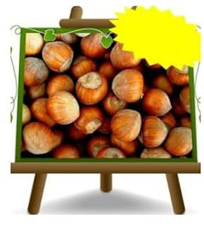 EURO PLANTS VIVAI Nocciolo Tonda Giffoni – Pianta da Frutto Antico su Vaso ø 26 cm Altezza 180-200 cm - Età 4 Anni