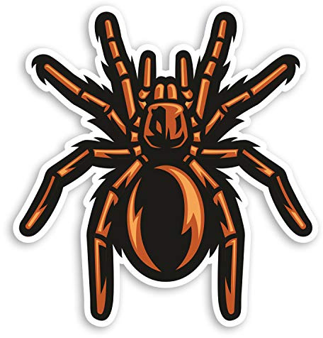 2 pegatinas de vinilo de tarántula de araña de 10 cm – Adhesivo de vinilo para ordenador portátil Arachnid Scary #31817, 10cm Tall