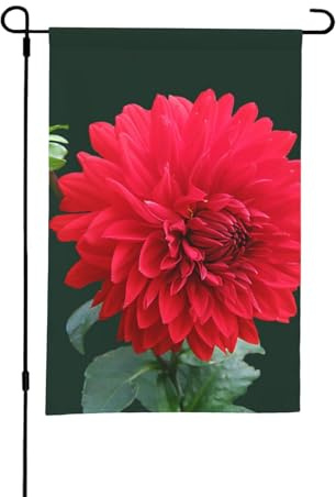 Drapeau de jardin d'été double face Dahlia rouge, 12 x 18 pouces, pour l'extérieur