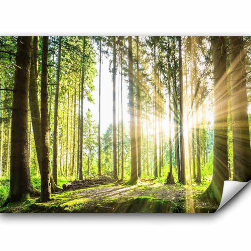 murando Fototapete Premium-Vlies Wald 3D 450x315cm Foto Tapete Schlafzimmer Wohnzimmer Vliestapete XXL Wandtapete Motivtapeten Bildtapete 3d Effekt Wand Dekoration Flur Landschaft Natur Grün Bäume