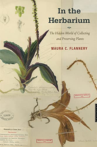 In the Herbarium: The Hidden World of Collecting and Preserving Plants (English Edition)