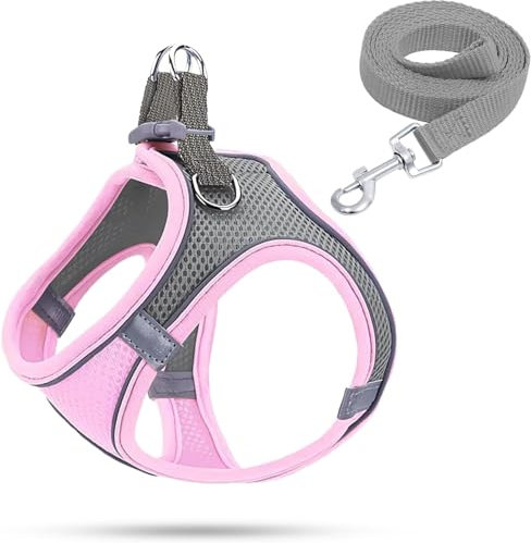 Hundegeschirr Kleine Hunde,Welpengeschirr Katzengeschirr Hunde Geschirr Leuchtend mit Leine,Curli Hundegeschirr Geschirr Hund Welpen Zubehör(Rosa,M)