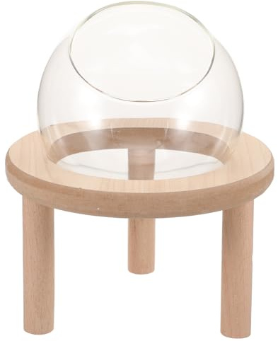 HOMOBABE Transparente Sandbadewanne aus Glas mit Holzunterlage für Hamster und Meerschweinchen Sanddicht für Zuhause oder Zoofachgeschäft