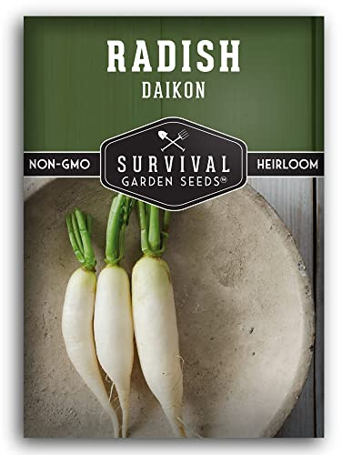 Daikon Radish Seeds for Planting – Heirloom Japanese White Radish with Long Mild Roots for Home Vegetable Gardens – Survival Garden Seeds (1 Pack)