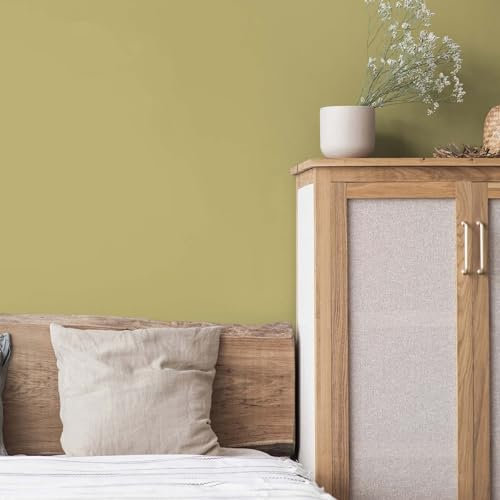 K&L Wall Art Seidenmatt Wandfarbe Grüne Innenwandfarbe modern Wandschutz Anstrich 2,5Liter Farbe Olive