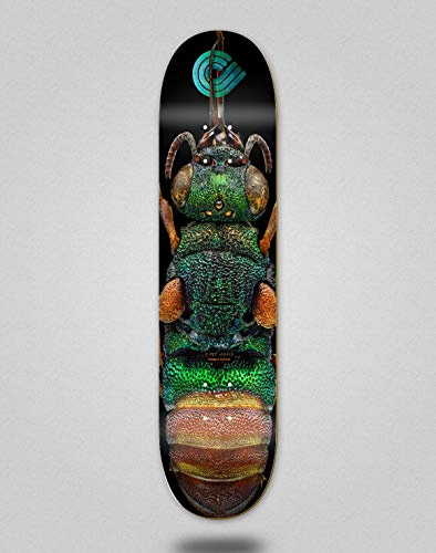 Powell Peralta monopatin Skate Skateboard Deck Biss Ruby Tailed Wasp 8.5