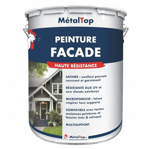 Metaltop - Peinture Facade - Gris clair - RAL 7035-1 L - Microporeuse, idéale pour murs extérieurs en rénovation ou neuf