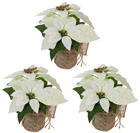 Bambelaa! 3 StückWeihnachtsstern künstlich Fenster naturgetreu Weihnachten Dekoration Weihnachtsdeko (Weiss)