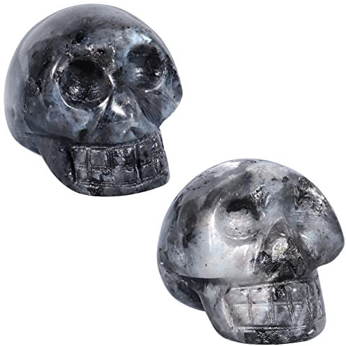 Nupuyai 2 Stück 2,5 cm Mini geschnitzte Kristalle Totenkopf Statue Set, Tasche Heilstein Kopf Figur Skulptur Spirituelle Ornament für Home Office Dekor, Labradorit