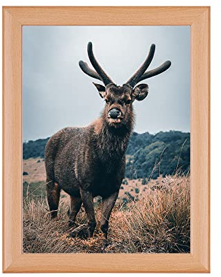 Rahmendesign24 Posterrahmen Fiona 50x70 Buche Fotorahmen, Wechselrahmen, Bilderrahmen