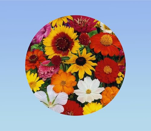 100 graines FLEURS A COUPER en mélange - FLEURS COURTES - + ou - cornues - jardin fleurs colorés