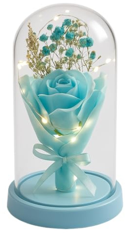 ENERGY GROUP ONLINE Rosa Eterna con Luci LED sotto Cupola – Idea Regalo Romantica per San Valentino, Anniversario, Festa della Mamma – Decorazione Elegante per Casa,Regalo (ROSA BLU CIELO)