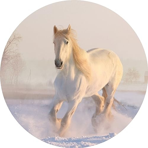 Essbarer Tortenaufleger Pferd // Kuchendekoration Kuchenaufleger Pferd im Schnee // 20cm (Oblatenpapier)