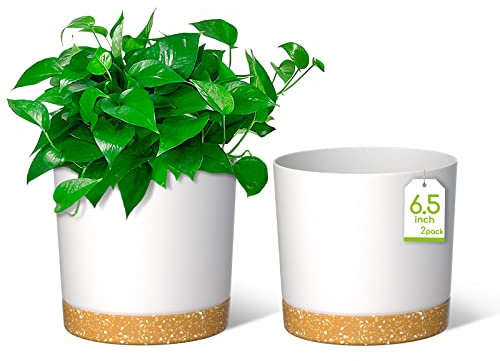 ZMTECH Maceta De 16,5 cm, Maceta De Plástico con Agujeros De Drenaje para Plantas Suculentas, Hierbas, Orquídeas, Menta y Otras Plantas De Jardín (Blanco, Set De 2)