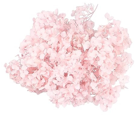 OUNONA Fiori Secchi Naturali Ortensia Essiccati Eterni Forniture Per Da Te Decorazioni Secco Adatto Per Feste Matrimonio e Compleanno Uso Creativo Fiore