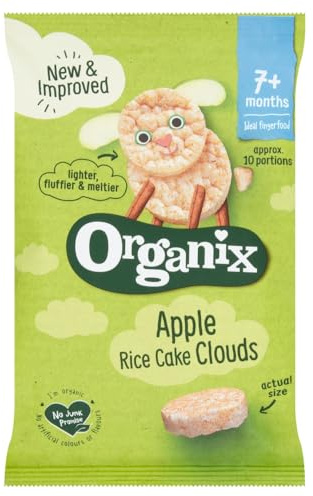 ORGANIX APPLE RICE CAKE 40G