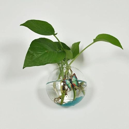 Vaso da fiori in vetro trasparente a forma di sfera, da appendere alla parete, per piante, decorazione per la casa, 12