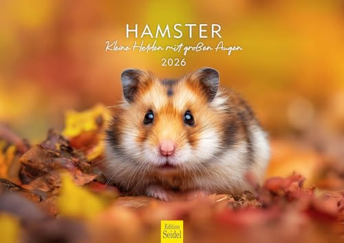 Edition Seidel Calendrier de qualité supérieure - Hamster - Petits héros aux grands yeux - Format A3 - Calendrier mural - Calendrier mural - Mammifère - Animal de compagnie - Rongeur mignon