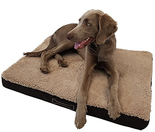 DILUMA Hundebett Benji - orthopädisches Hundekissen - Haustierbett - Hundeliege mit waschbarem Bezug - Hundesofa Beige - (72 x 50 x 8 cm - S)