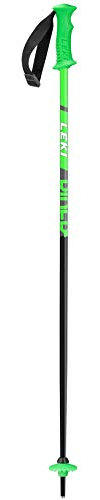 LEKI Unisex-Adult Skistock, Grün, 85