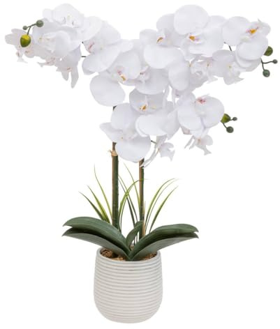 ATMOSPHERA CREATEUR D'INTERIEUR - Orchidea artificiale riva h60cm bianco
