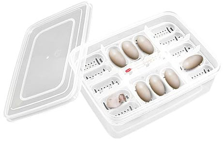 Reptilien-Eier-Inkubator-Box – transparente Eier-Schlüpfbox, Multigrid-Inkubator, anpassbare Reptilien-Inkubatorschale, schützendes Reptilien-Kinderzimmer-Tablett, verstellbares Gittersystem für