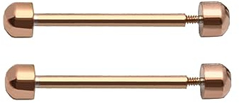 sodeber 2 pièces/Paquet Broches à vis de de Montre Tige de Connexion Broches de cosse de Montre Outil de réparation de Tige de Liaison de Connexion 16mm 18mm 20mm 22mm Boucle de Fermoir de