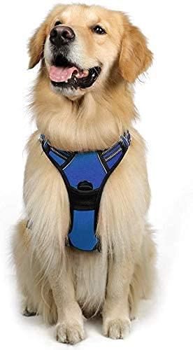 rabbitgoo Pettorina Cane Taglia Grande, Pettorina Cane ad h Regolabile con 2 Ganci in Metallo, Imbracatura per Cani Anti Tiro Riflettente, Imbracatura Traspirante per Addestramento Corsa, Blu, L