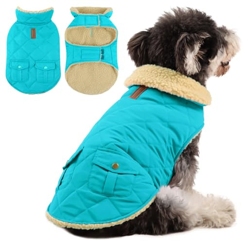 Queenmore Wintermantel Hund Wasserdicht Hundemantel Für Kleine Hunde Warme Hundejacke Winter Quilten Hundebekleidung Winter Hundepullover Für Dackel Chihuahua Pudel Bulldogge Beagle, Himmelblau, XS