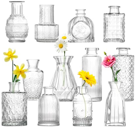 Homshsjhkis 12 Pcs Jarrones Decorativos Modernos, Mini Jarrones de Cristal, Pequeño Cristal Decoración Mesa Boda Centro para Decoración del Dormitorio Sala Estar Oficina en Casa