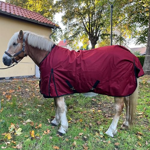 Brama-West - Coperta antipioggia per cavalli Zara – Turnout 1200D – Coperta in vimini per esterni, impermeabile, antivento (rosso, 145)