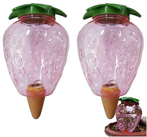 Ericetion 2 pièces Dispositifs d'arrosage pour Plantes de 500 ML, Globes d'auto-arrosage pour Plantes, arroseur Automatique pour Pot de Fleurs de Vacances (Fraise)