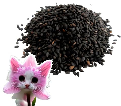 Cat Face Orchid Seed, Enhances Air Purity Cat Face Flower Seed, Cute Novelty Evergreen Orchid Seeds for Beginners, Balances Emotions O-rchid Flowers S-eed for StudyRoom Bedroom Decor