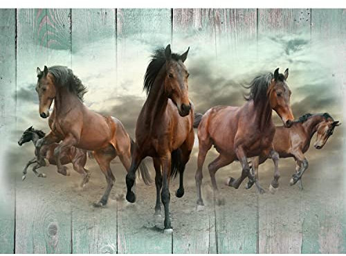 Runa Art Fototapete Pferde 352 x 250 cm Vlies Tapeten XXL Moderne Wandtapete Wohnzimmer Schlafzimmer Türkis 9337011c